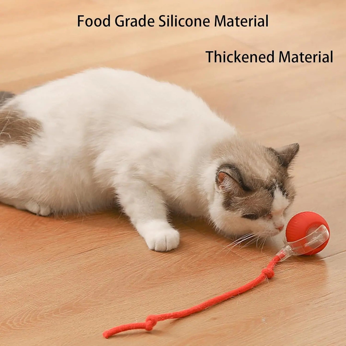 Interactive Smart Rolling Pet Ball Alingpulse