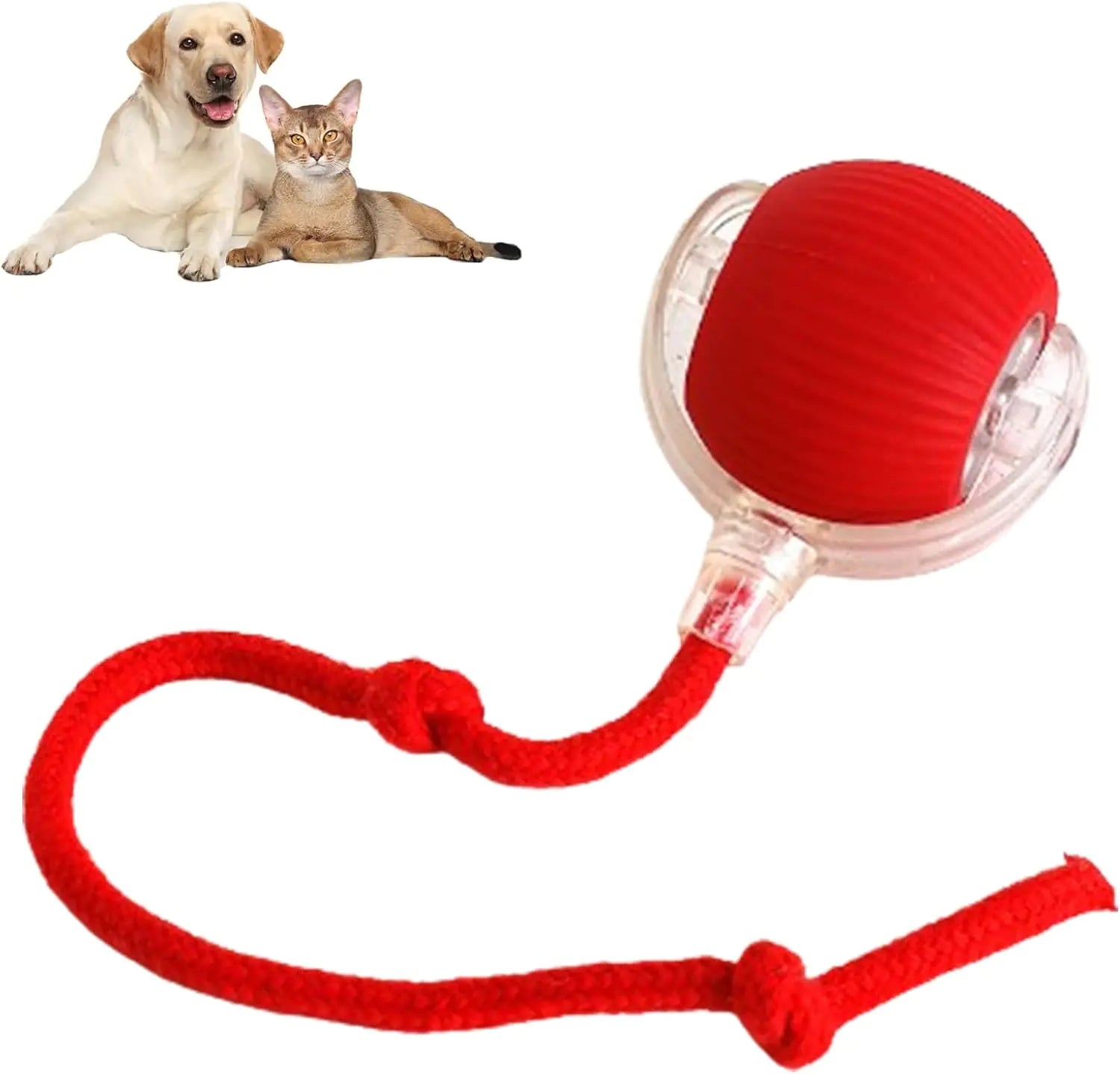Interactive Smart Rolling Pet Ball Alingpulse