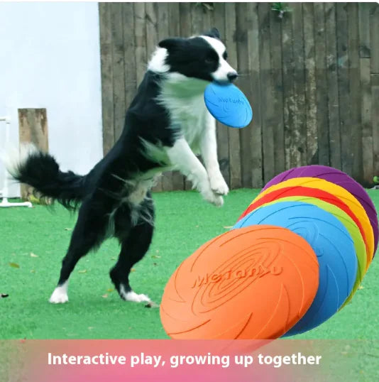 Rubber Dog Frisbee Outdoor Toy Alingpulse