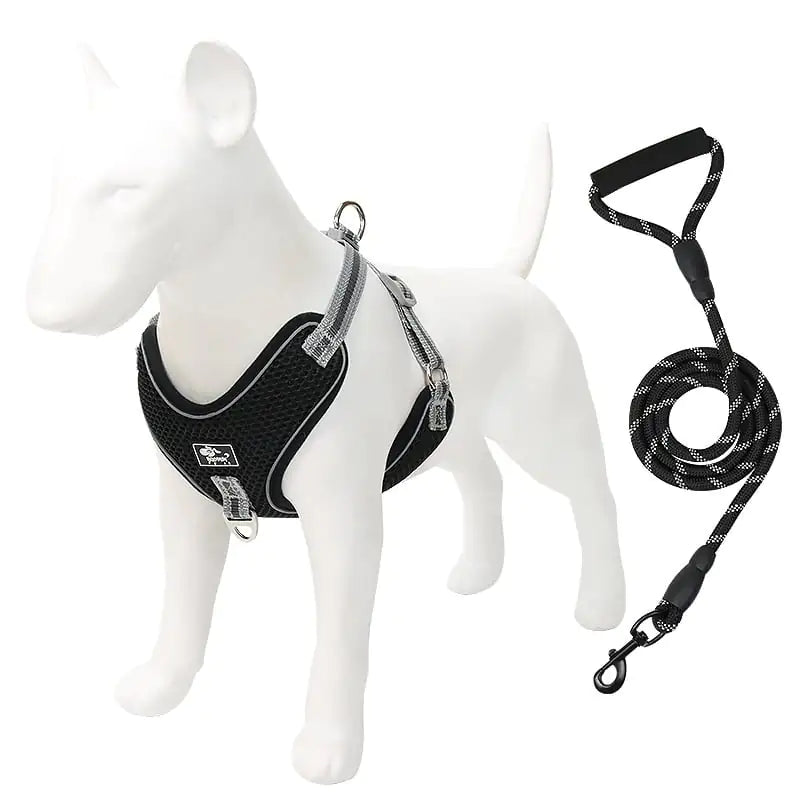 Pet Chest Strap with Dog Leash Alingpulse