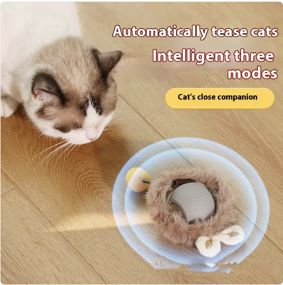 Interactive Self-Rolling Cat Toy - Fun & Stress Relief for Pets Alingpulse