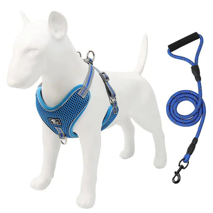 Pet Chest Strap with Dog Leash Alingpulse