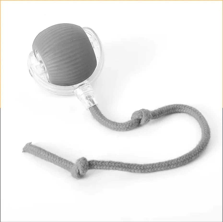 Interactive Self-Rolling Cat Toy - Fun & Stress Relief for Pets Alingpulse