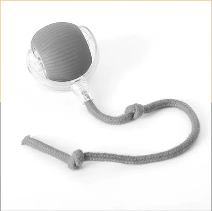 Interactive Self-Rolling Cat Toy - Fun & Stress Relief for Pets Alingpulse