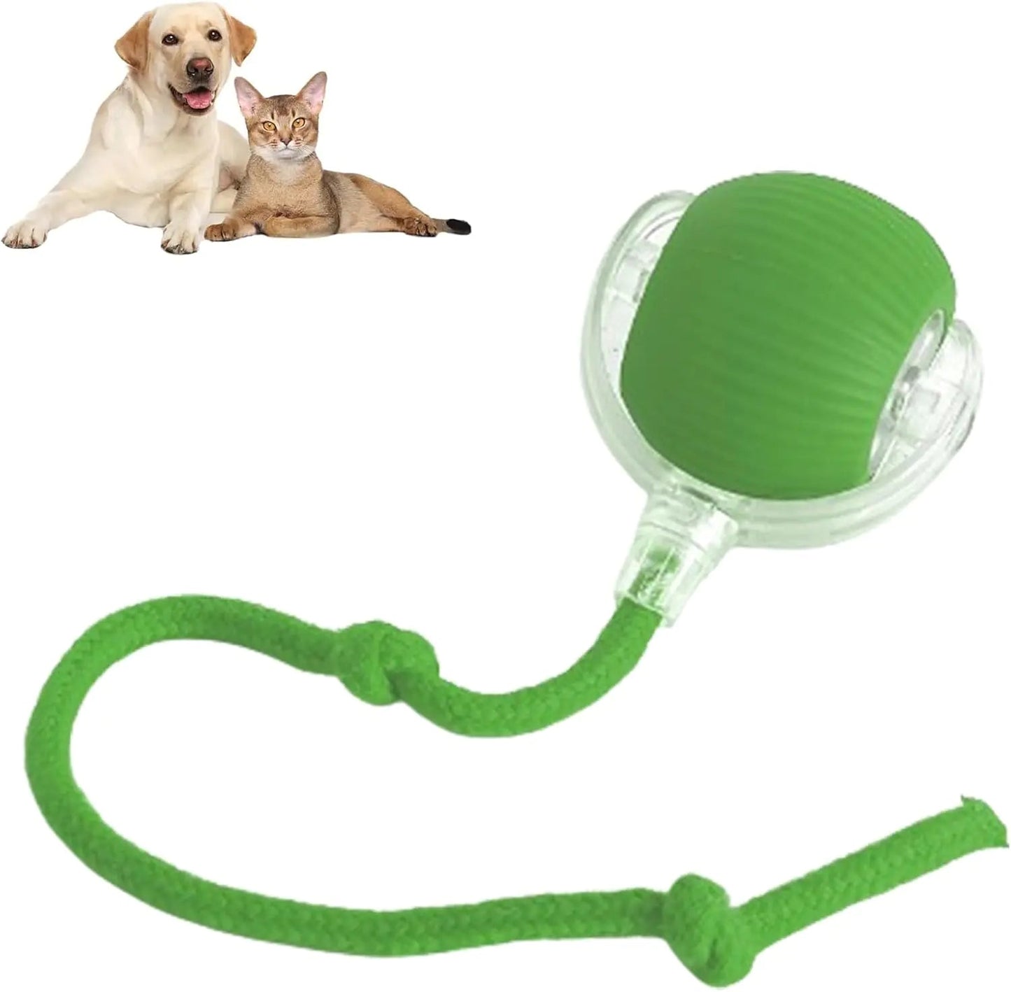 Interactive Smart Rolling Pet Ball Alingpulse